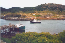 595: Red Island. "Michael Norman arriving in the harbour". (2002) [courtesy of Heather Walsh]